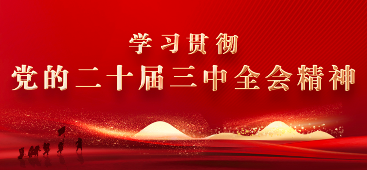 学习贯彻党的二十届三中全会精神